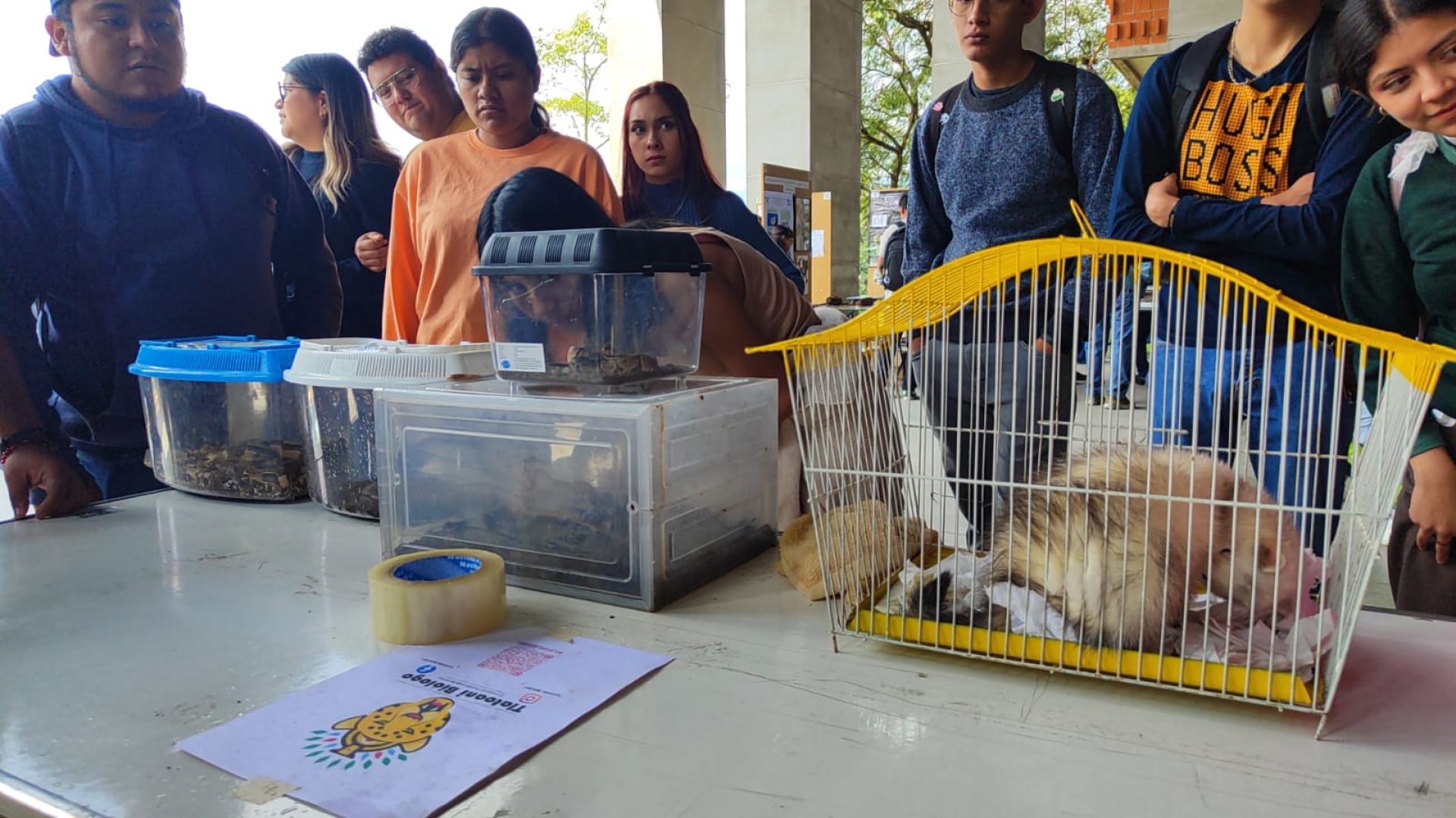 Realizan 'Festival por la conservación biológica' en la UAEM