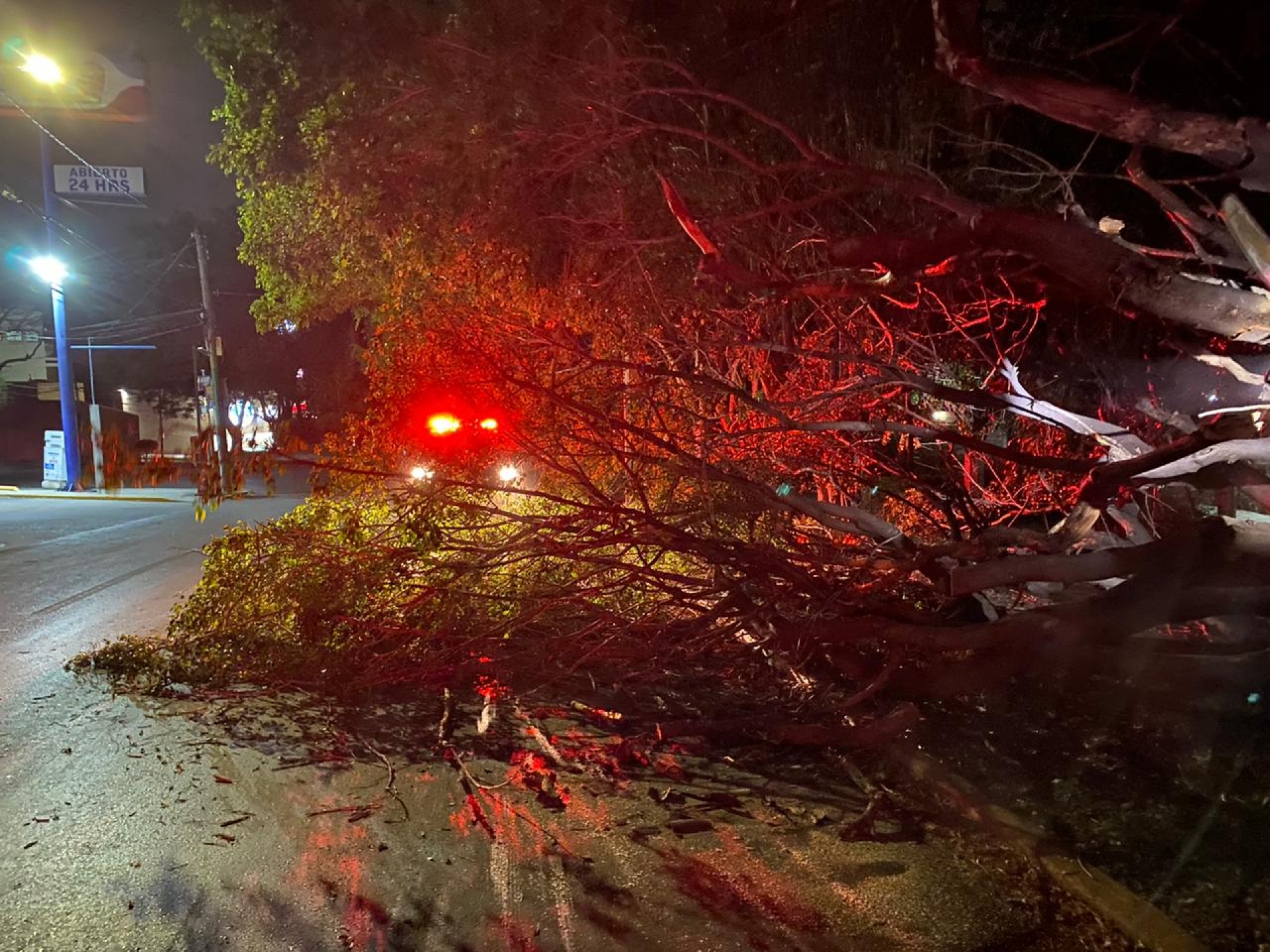 Sólo daños materiales leves por los fuertes vientos de anoche: PC Cuernavaca