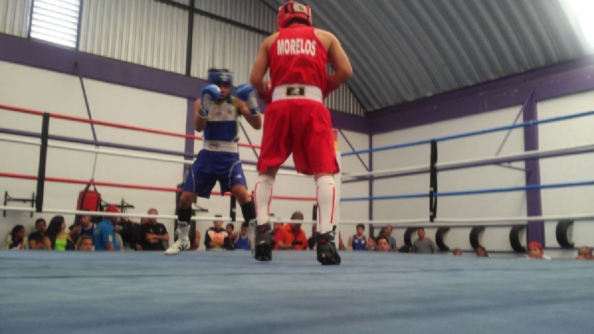 Van por medalla al Festival Olímpico de Boxeo 2018