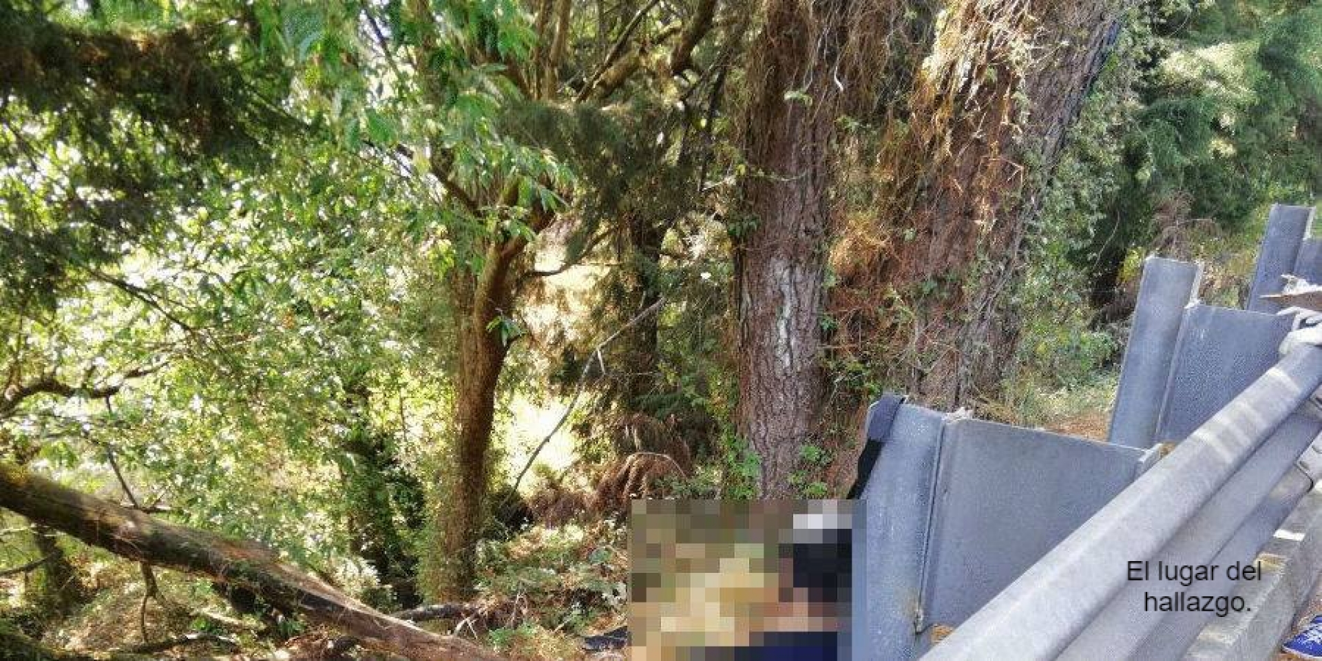 Se quitó la vida junto a la autopista, en Tres Marías