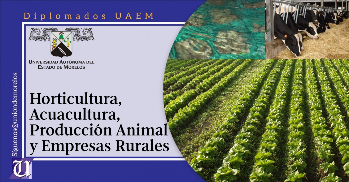 Ofrece UAEM diplomados en Horticultura, Acuacultura, Producción Animal y Empresas Rurales