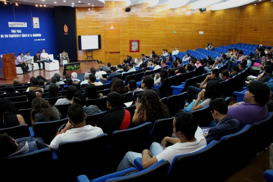 Despenalización de la marihuana no reduce criminalidad: Vera Jiménez