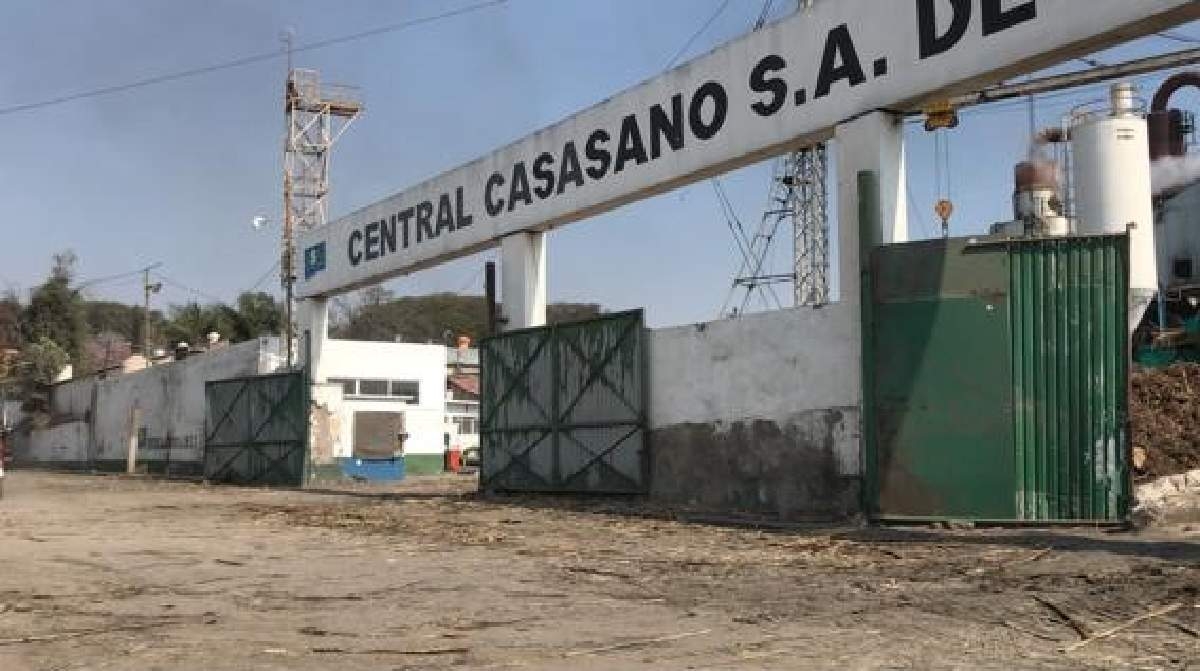 Arrancan prezafra en el Ingenio de Casasano este lunes