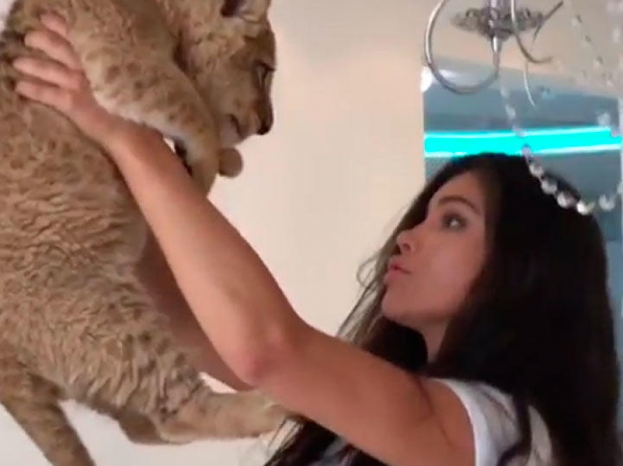 Modelo intentó recrear 'El Rey León' y el animal se 'vengó'