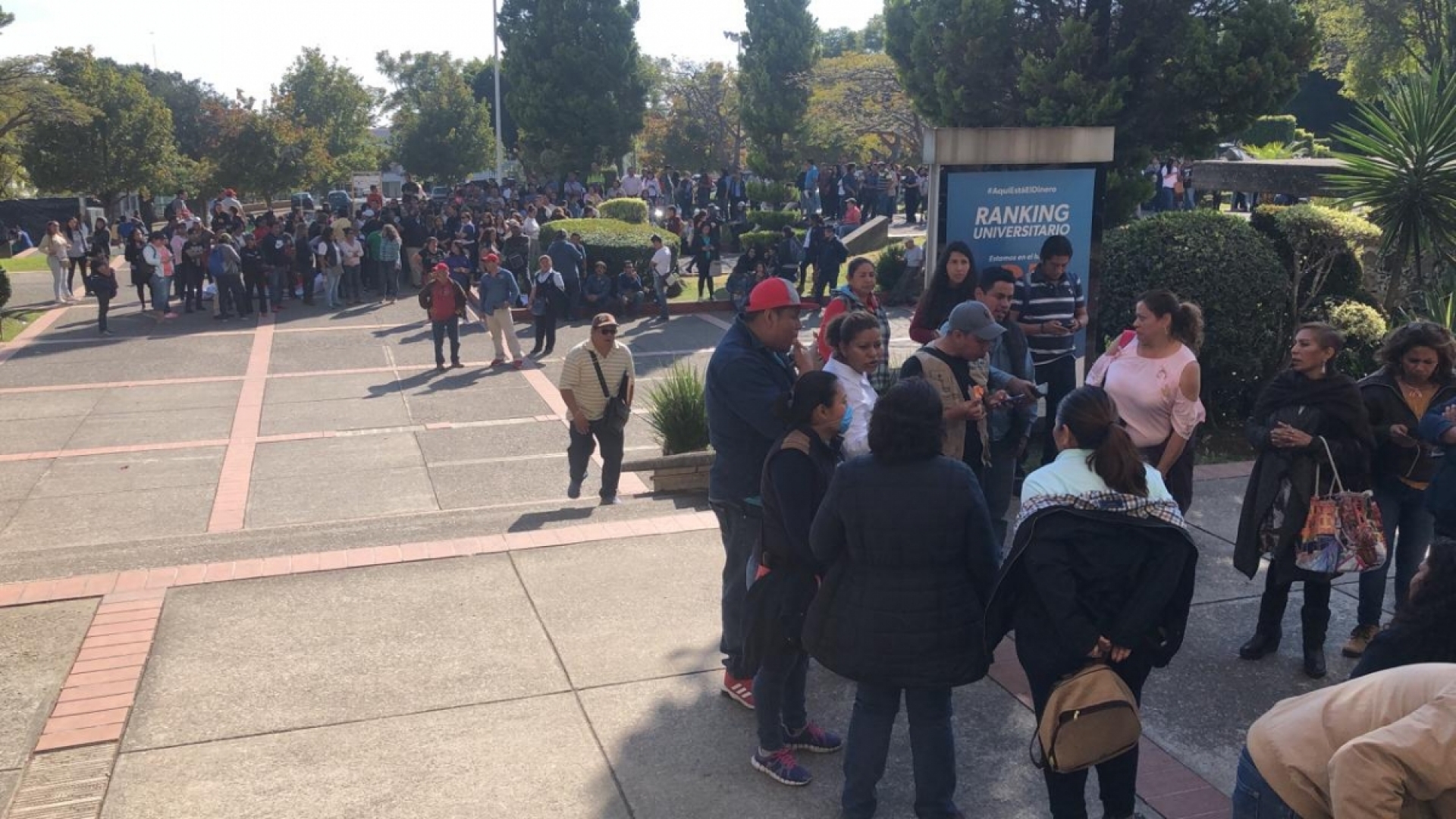 Plantea SITAUAEM paro de actividades de manera indefinida
