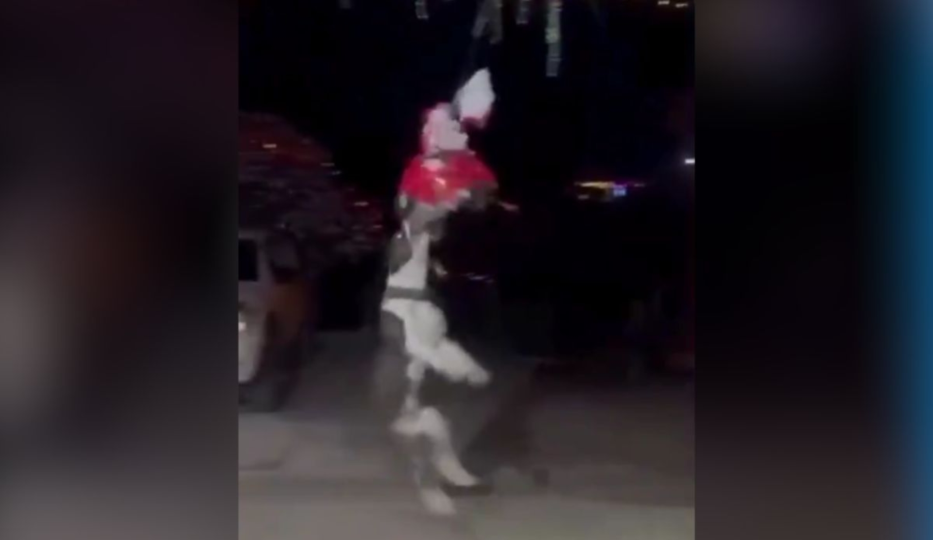 Perrito arrasa la piñata y se convierte en estrella de la posada | Video