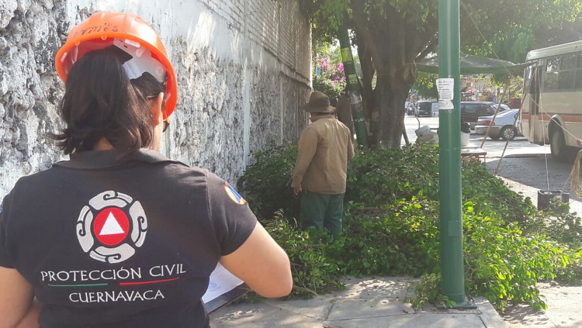 Atiende Protección Civil poda de árboles en escuelas