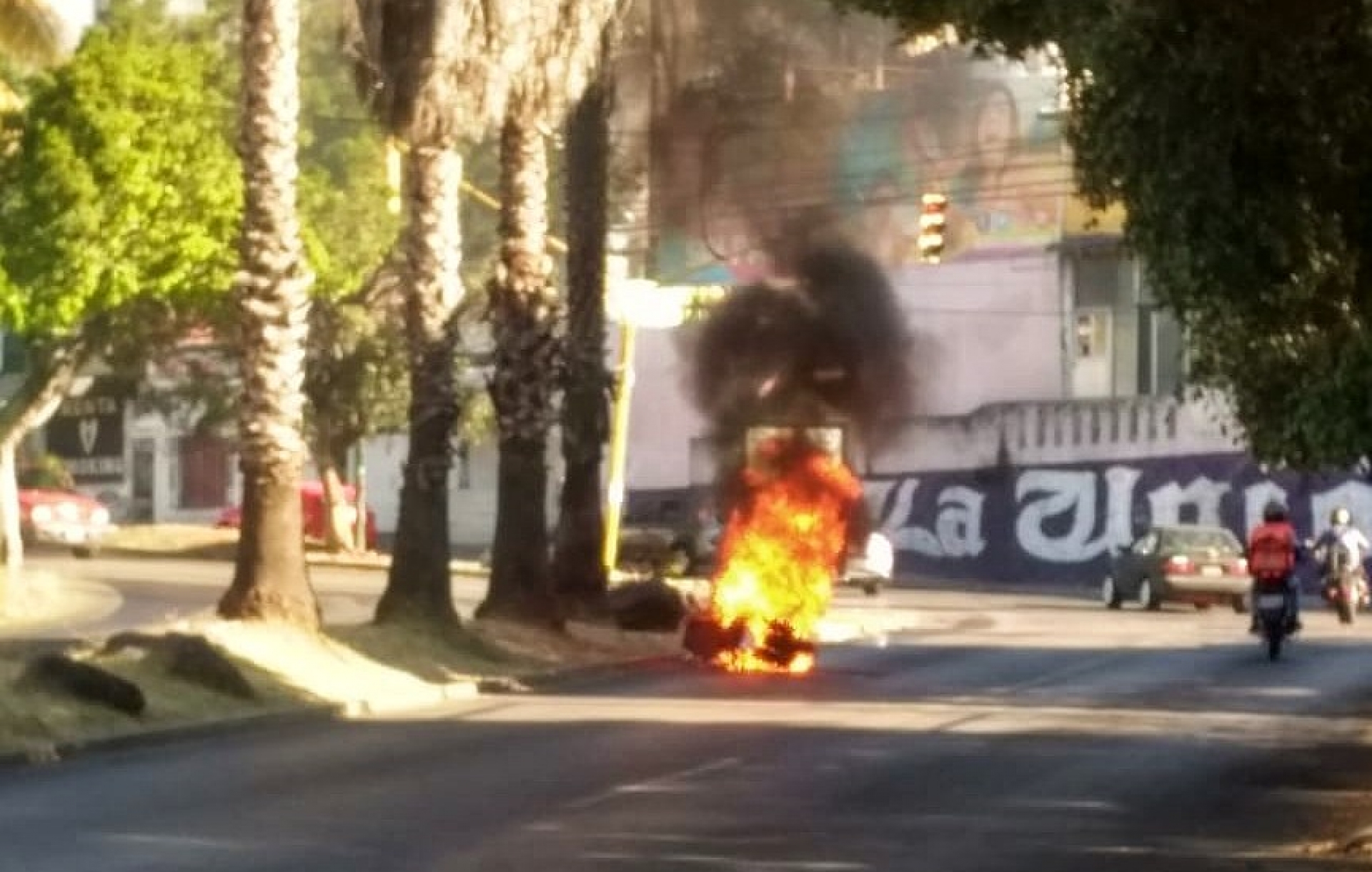 Sofocan bomberos incendio de motocicleta y palmera, en Lomas de la Selva
