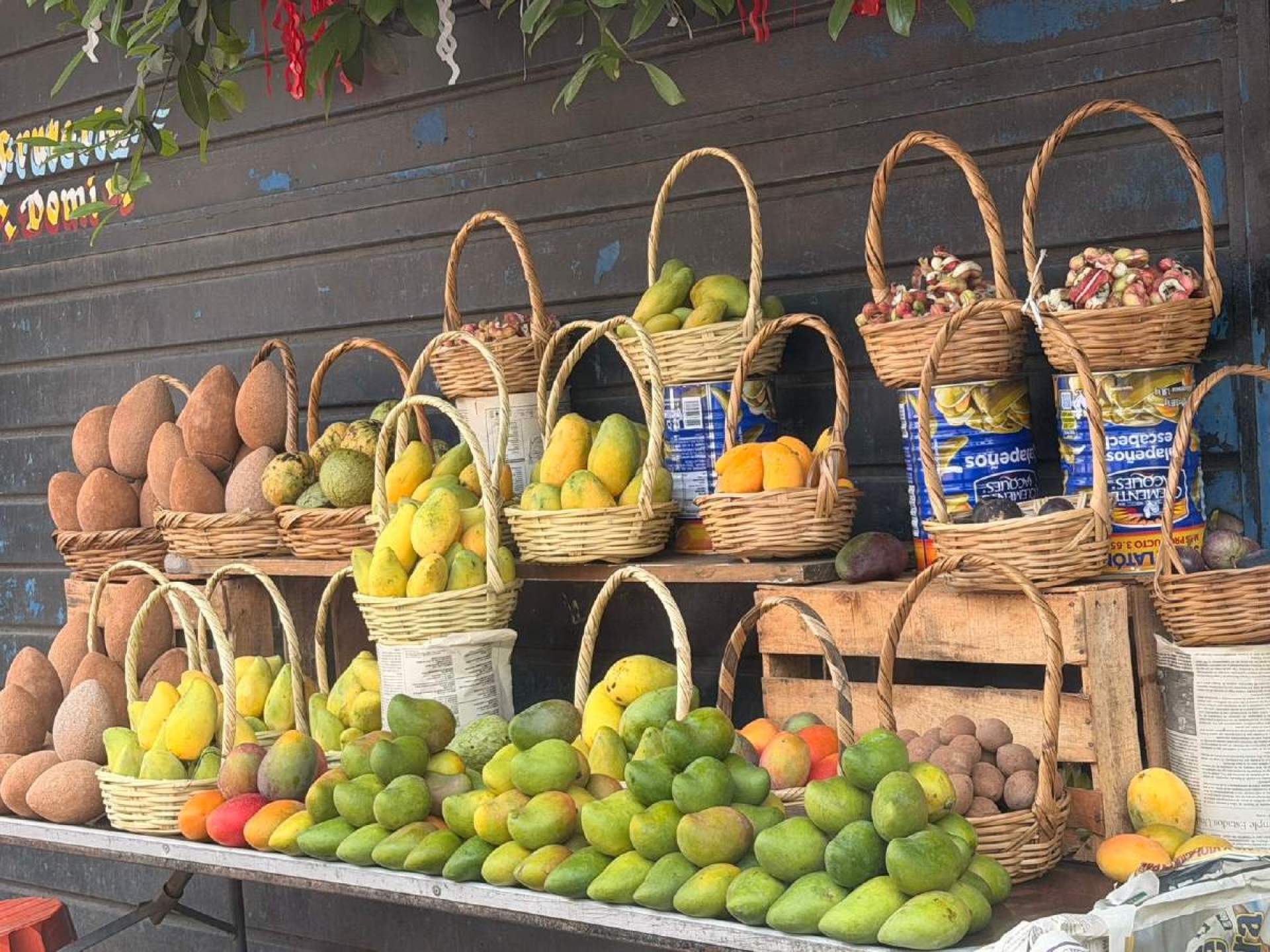 Familia preserva tradición frutícola ante abandono de huertas en Coatlán del Río