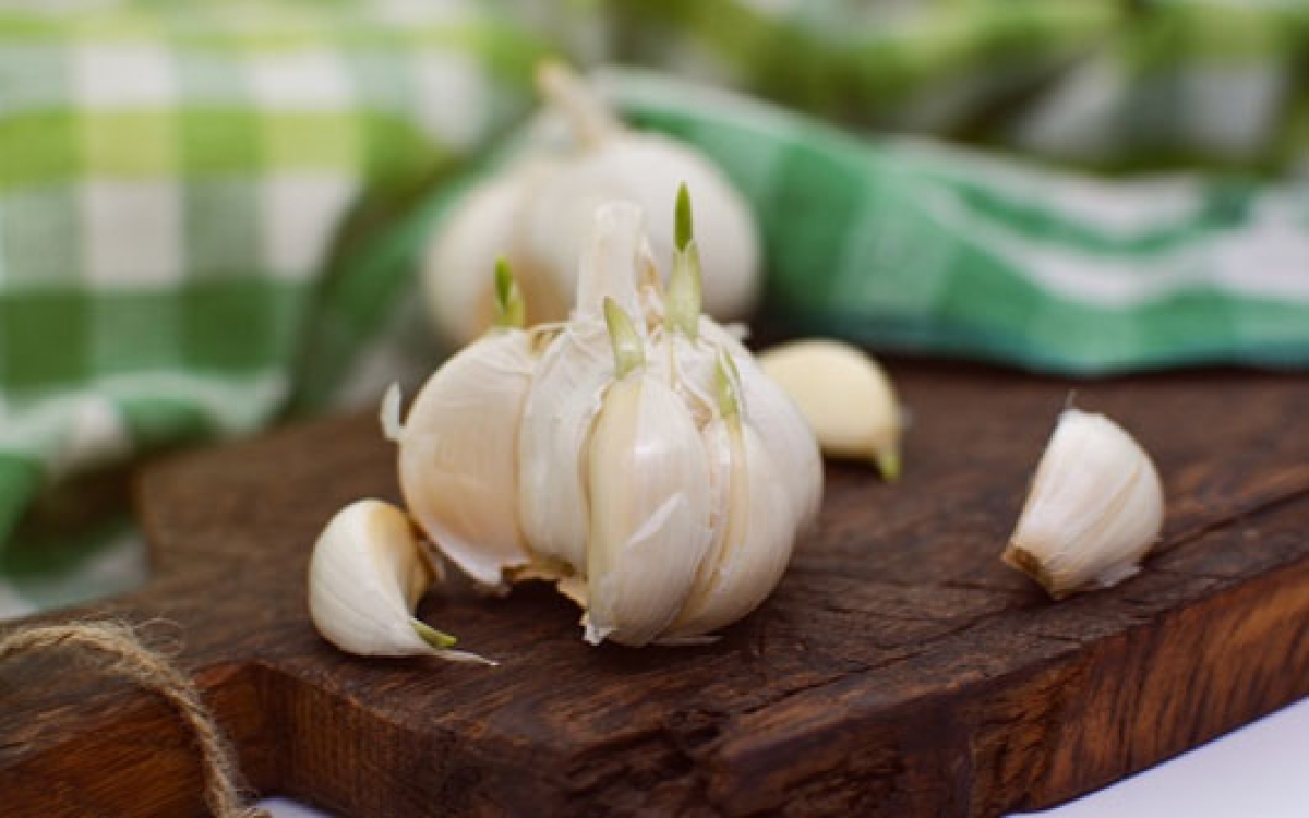 ¿Cómo evitar que tus ajos germinen y duren más tiempo en perfecto estado?