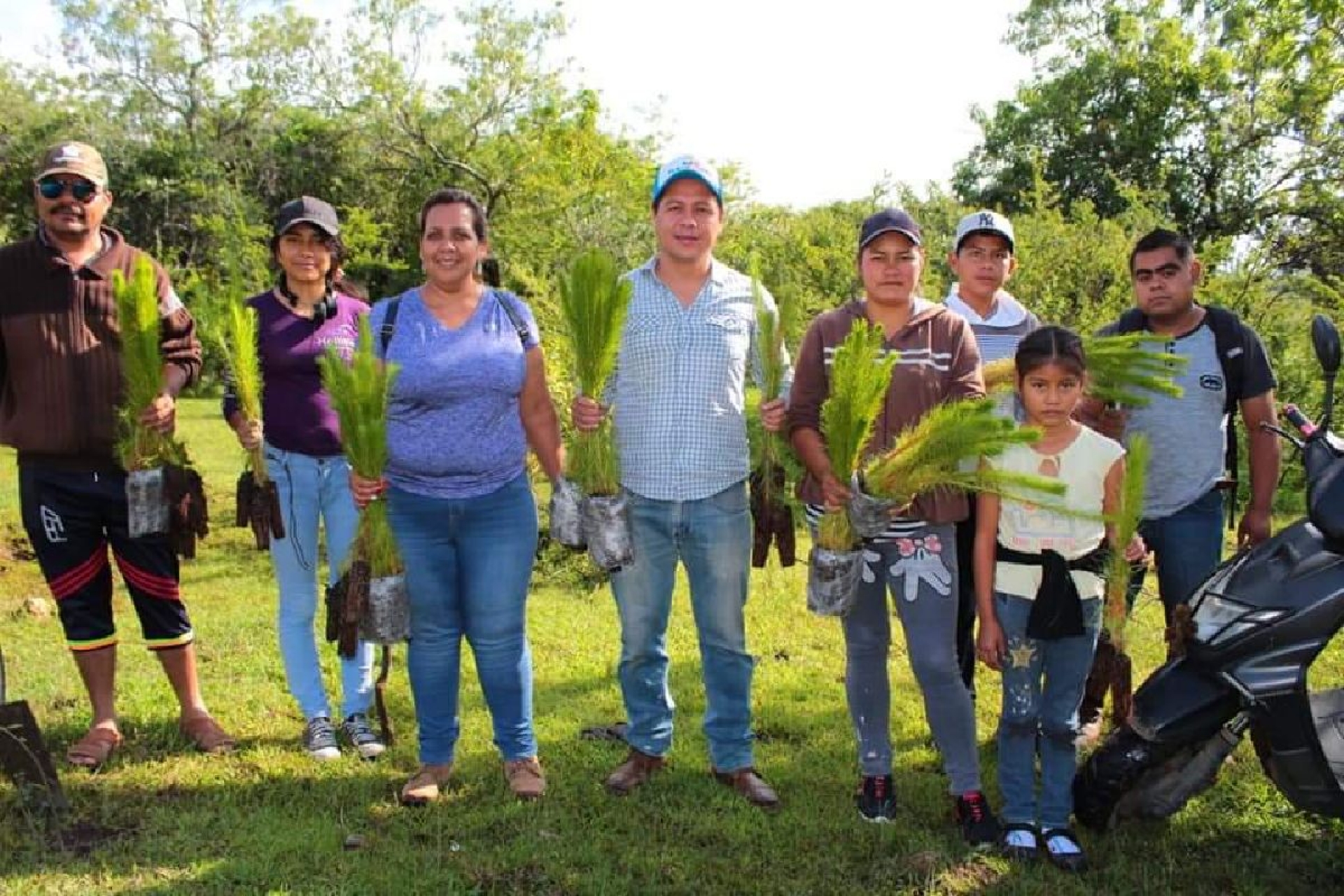 Realizan reforestación en el Cerro Picacho