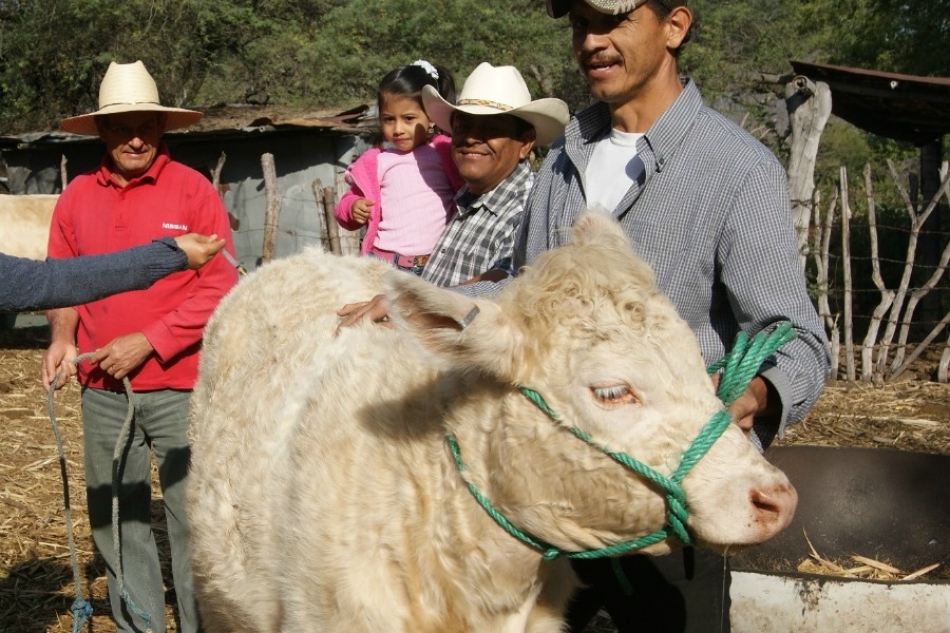 Realizan campaña de vacunación contra el derriengue en Tlaltizapán