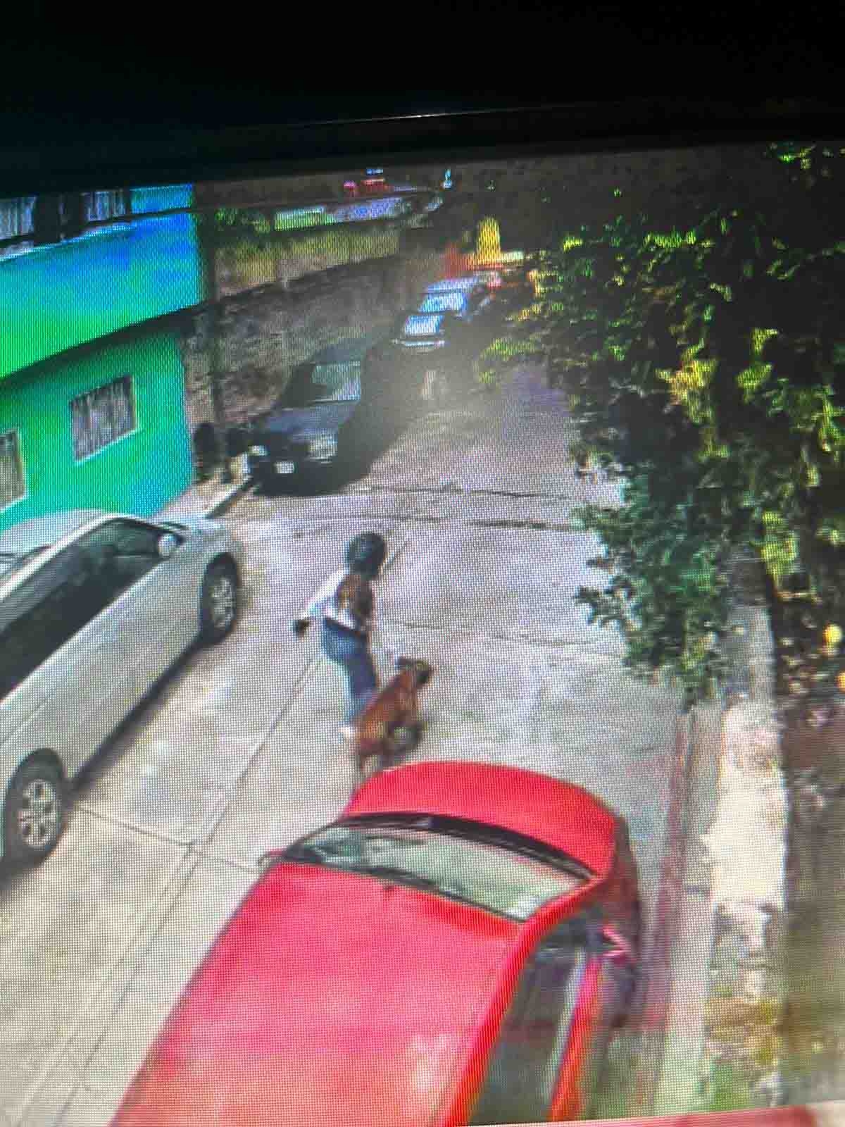 Estable, el niño que fue atacado por un pitbull en Jiutepec