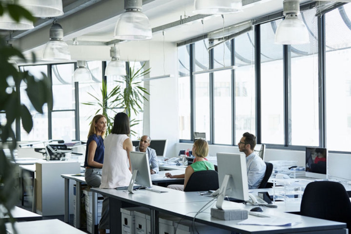 ¿Cómo afecta el calor o el frío en la productividad laboral?