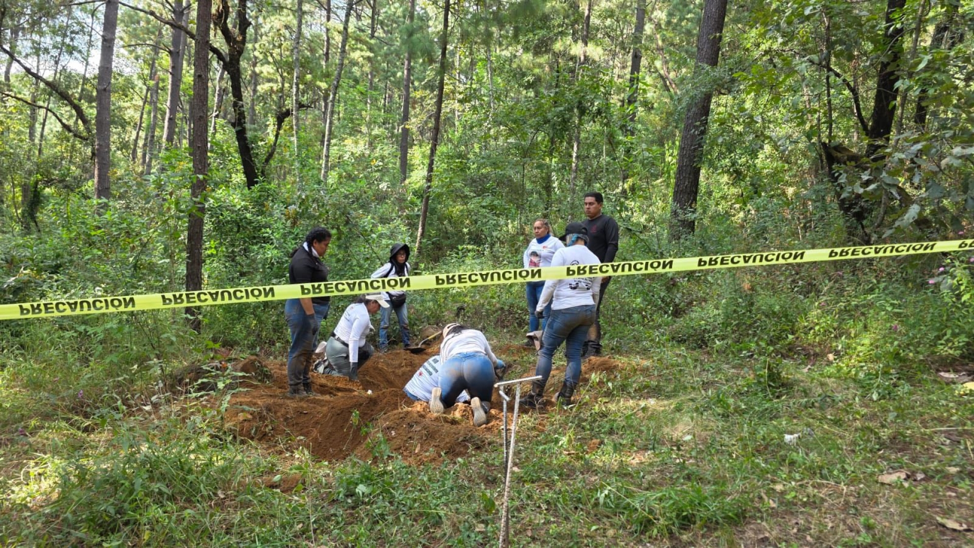 Encuentran cuatro cuerpos en predio del diputado Carlos Bautista Tafolla