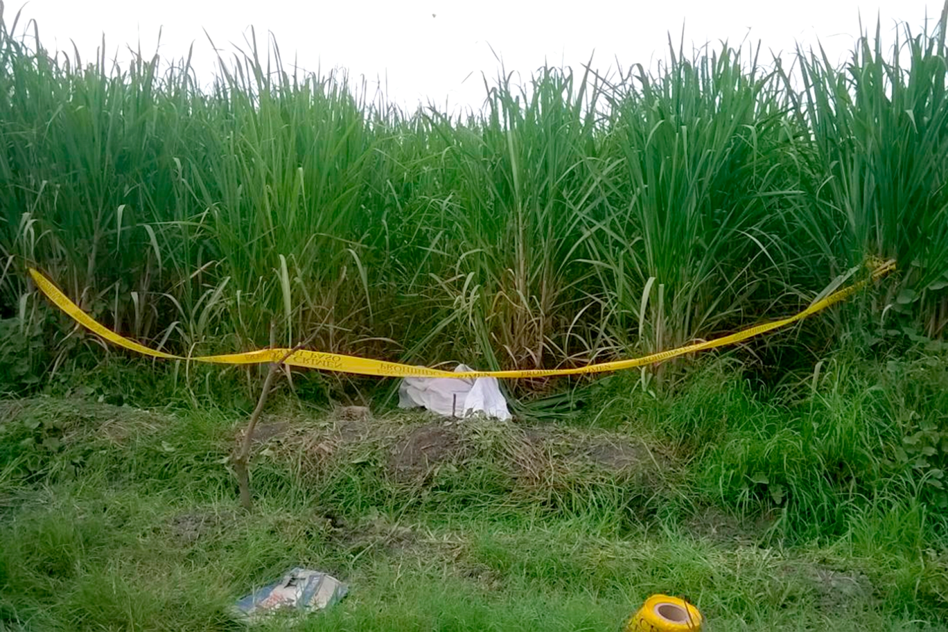 Hallan un cadáver en un cañaveral de Tlaltizapán