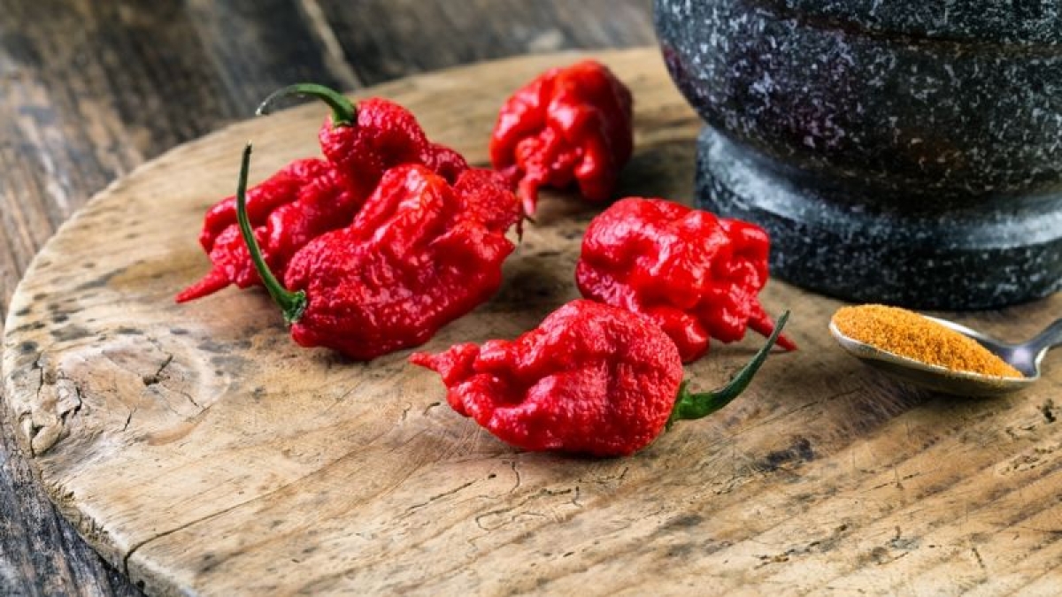 Día Internacional de la Comida Picante: ¿Cuál es el chile más picoso del mundo?