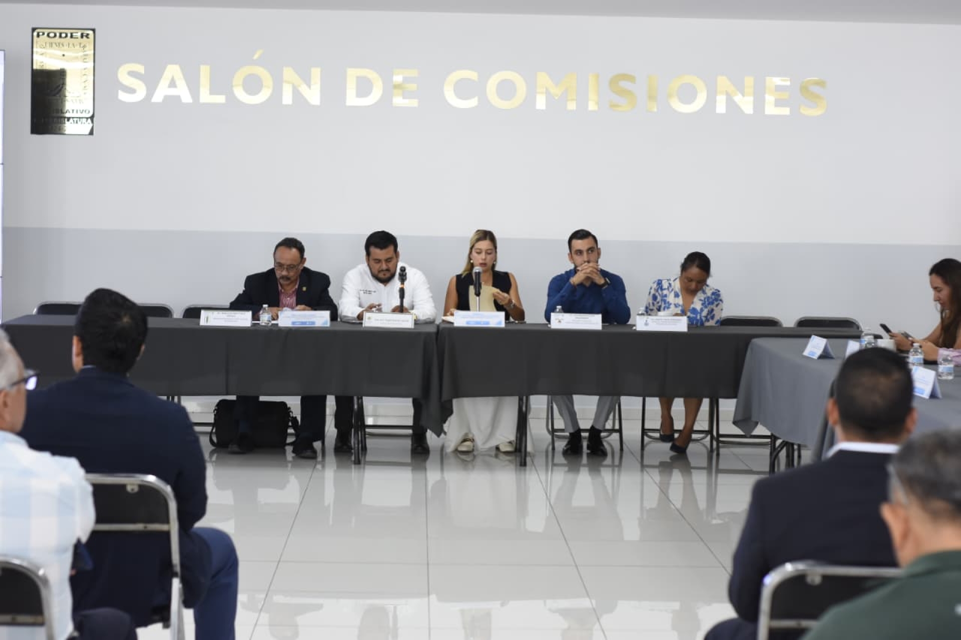 Encabeza diputada Andrea Gordillo presentación 'Proyectos de leyes de ingresos municipales'