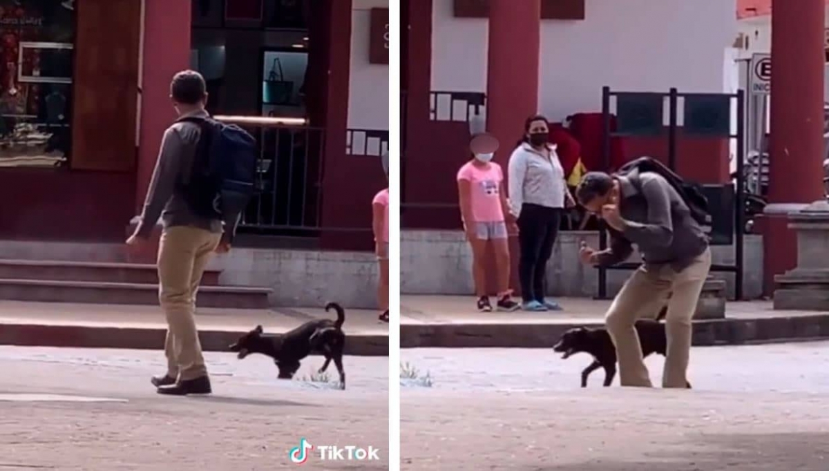 Un hombre y un perro se divierten bailando en plena vía pública