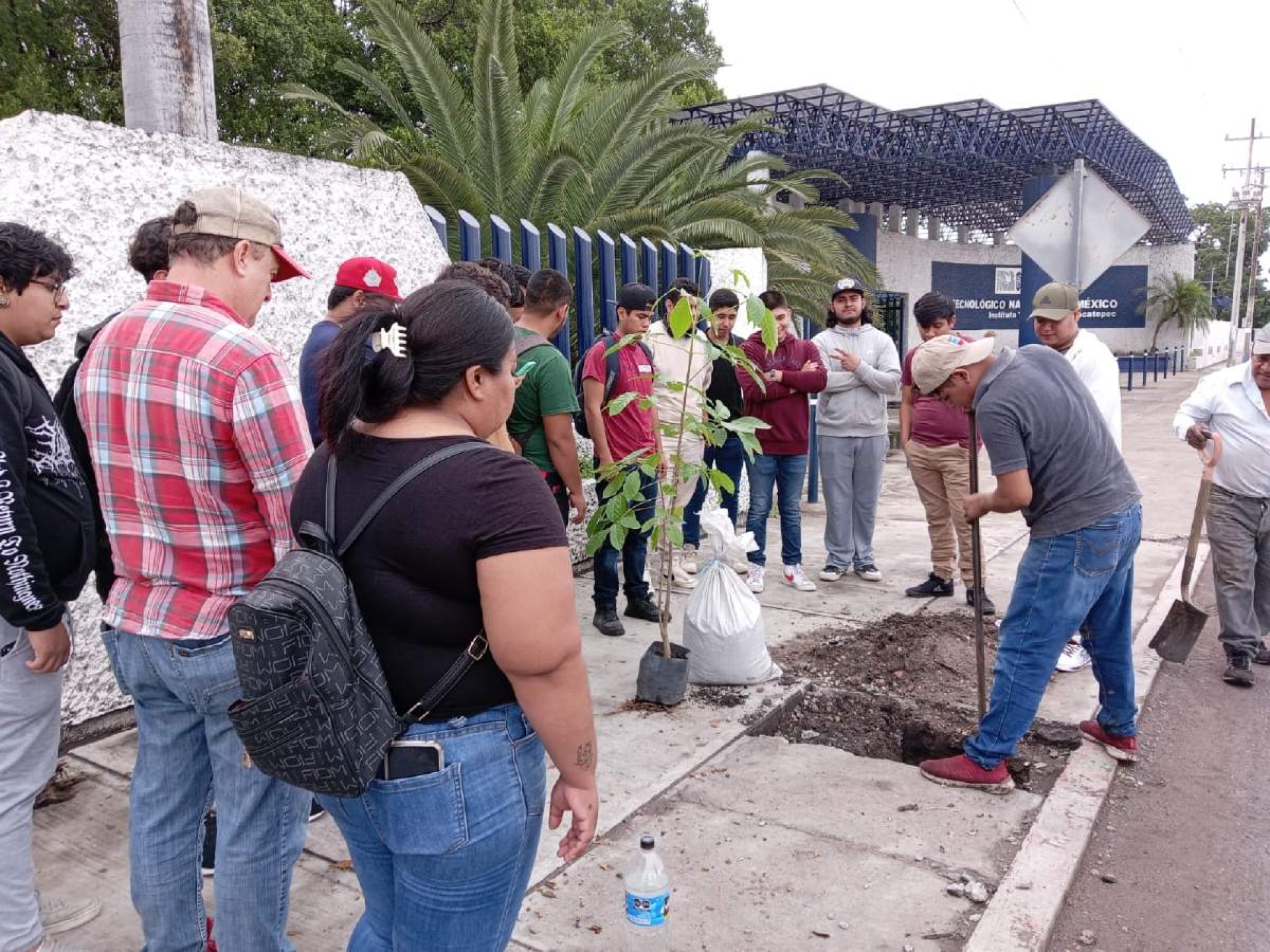 Organización ciudadana mantiene reforestación en Zacatepec