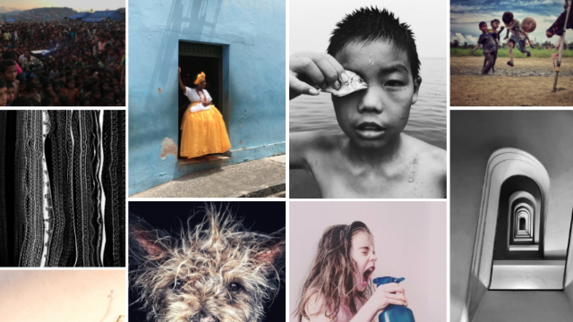 Estas fotos ganaron los iPhone Photography Awards 2018