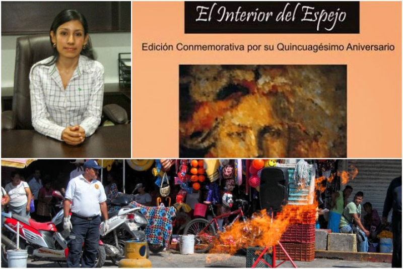 Breves del sur