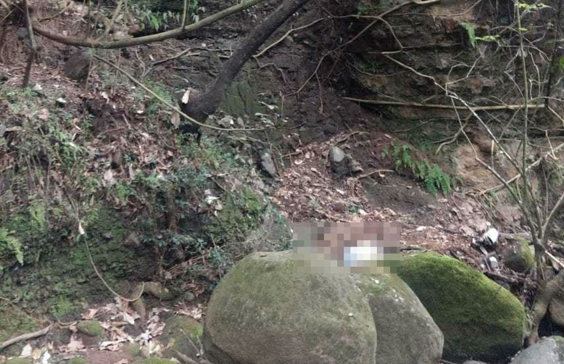 Hallan a hombre sin vida cerca de una barranca, en Lomas de Tetela