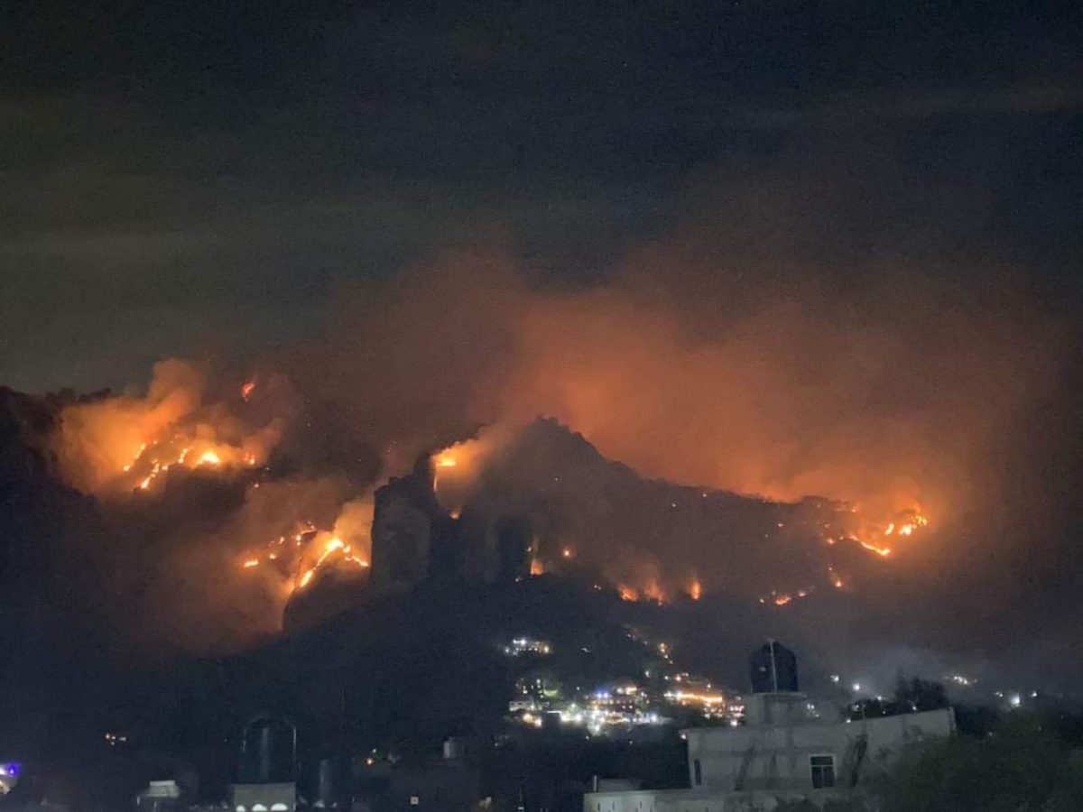 Avance del 20% de control y 10% de liquidación en incendio forestal en paraje 'Los Corredores'