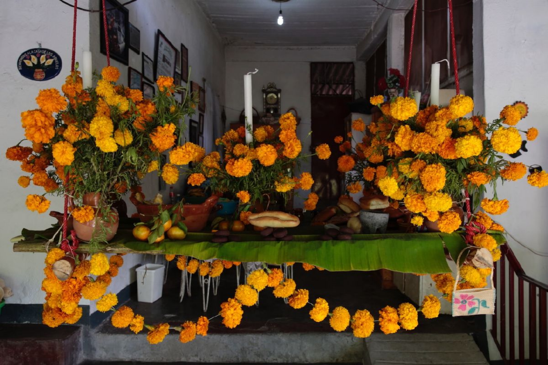 Huatlapechtle: El portal entre el cielo y la tierra por el que llegan los muertos a Coatetelco