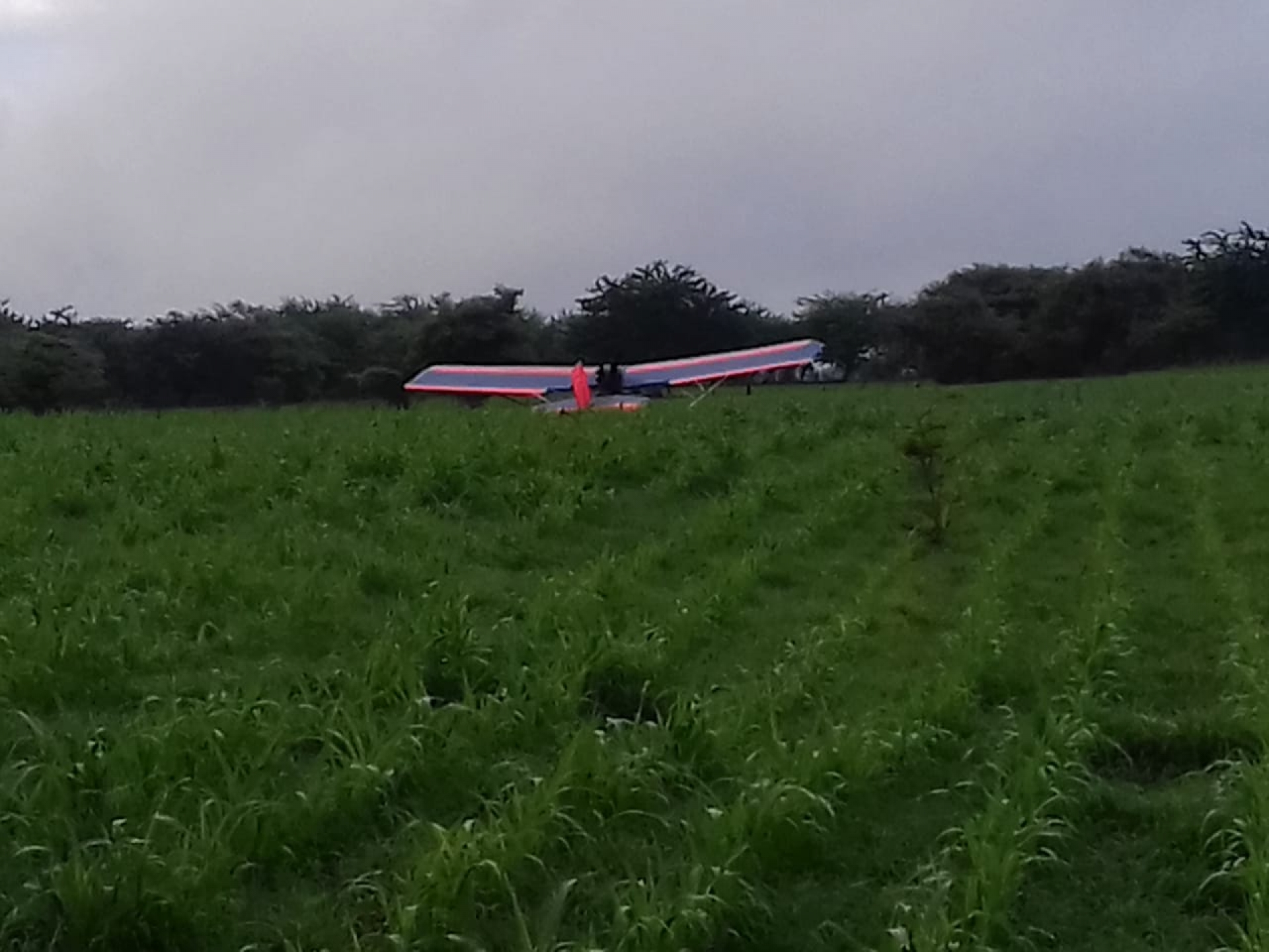Cae avión ligero en campos de cultivo de Amacuzac