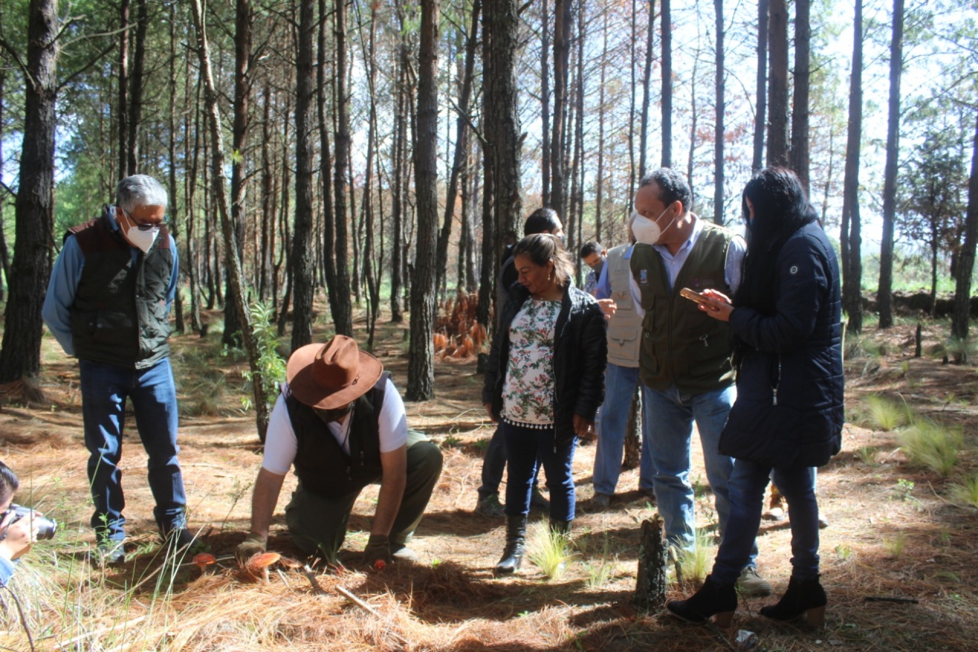 Llega la reforestación 2020 a la comunidad de Fierro del Toro, en Huitzilac