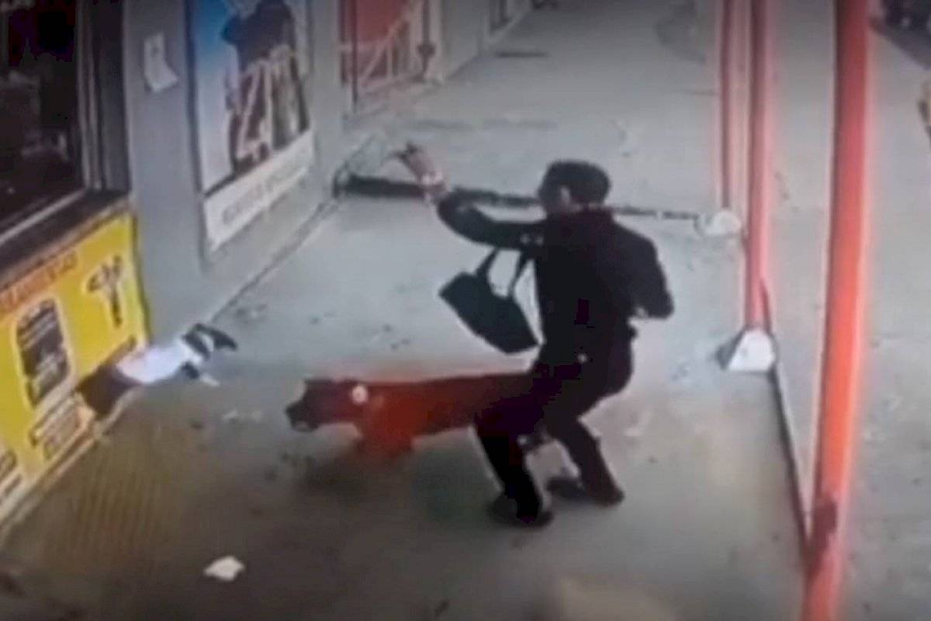 Perrito imita a "Los voladores de Papantla"