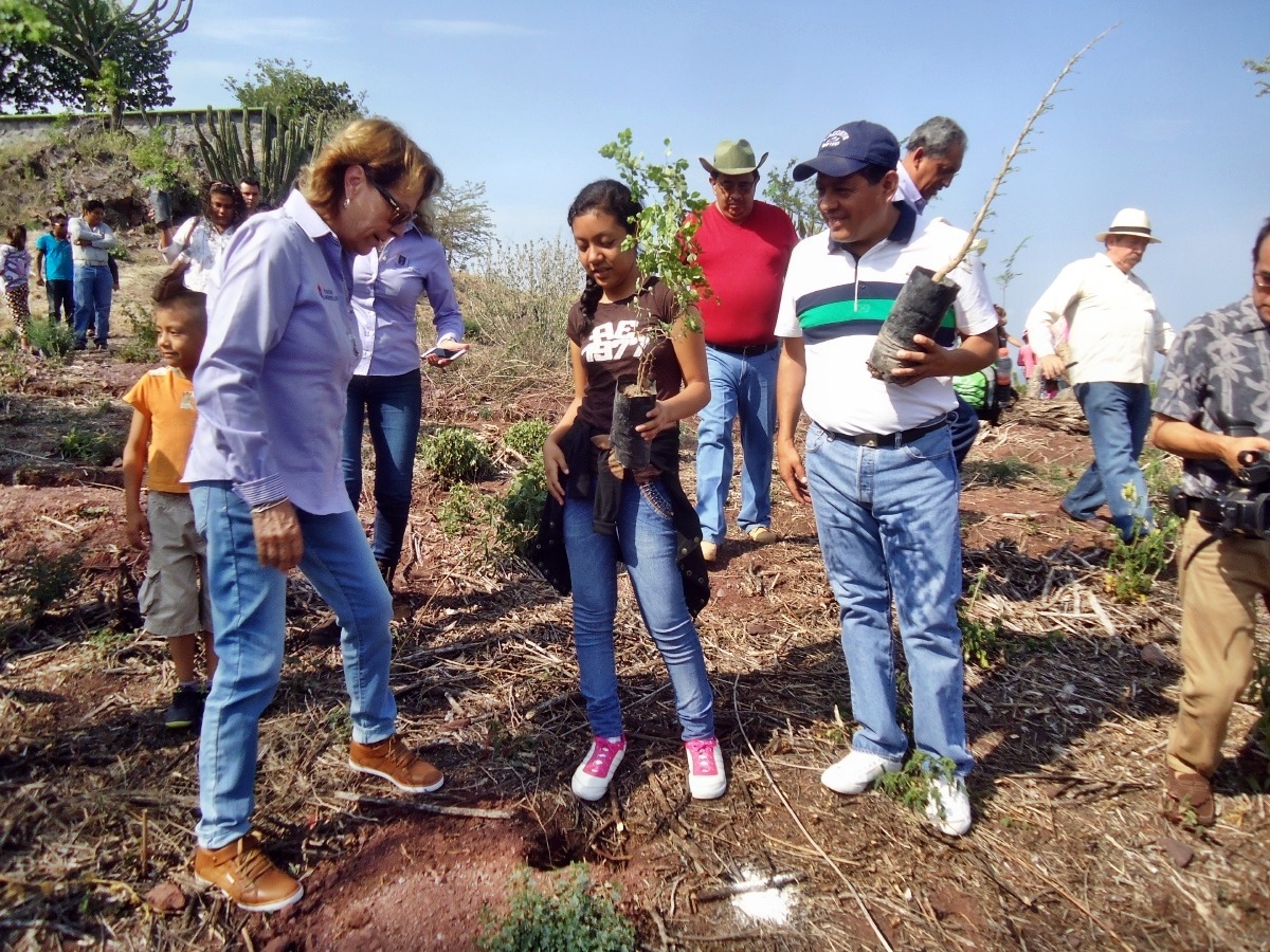 Reforestan el cerro del mirador en Jonacatepec