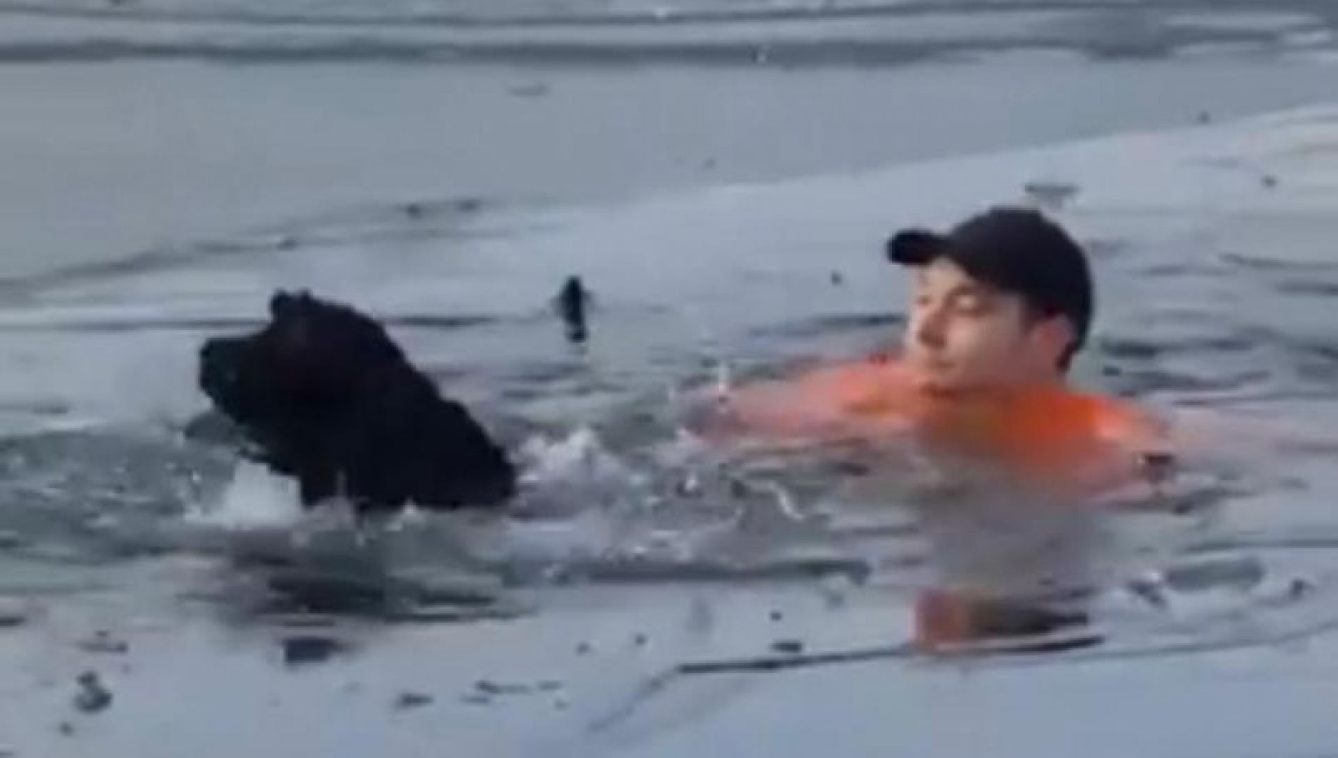 Hombre rescata a perro de un lago congelado