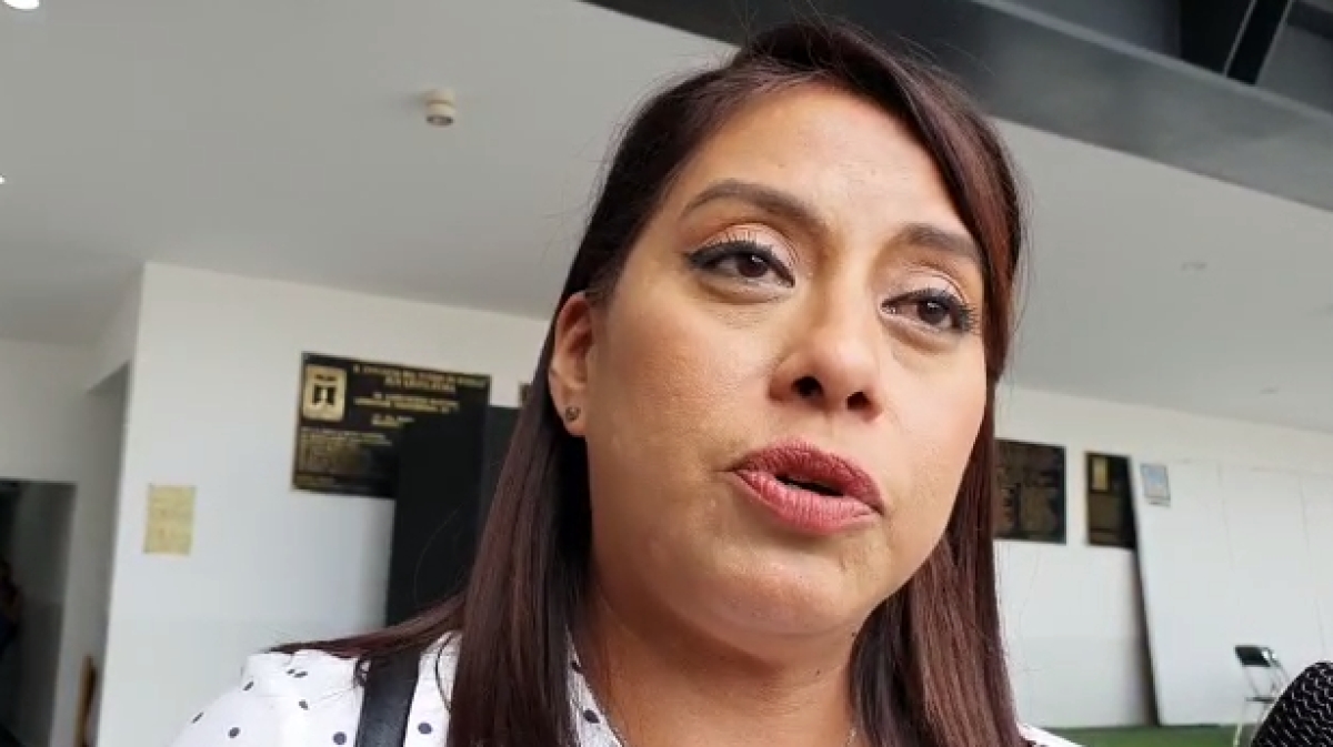 Feministas demandan reponer convocatoria, ante posible designación hoy de titular del IMM