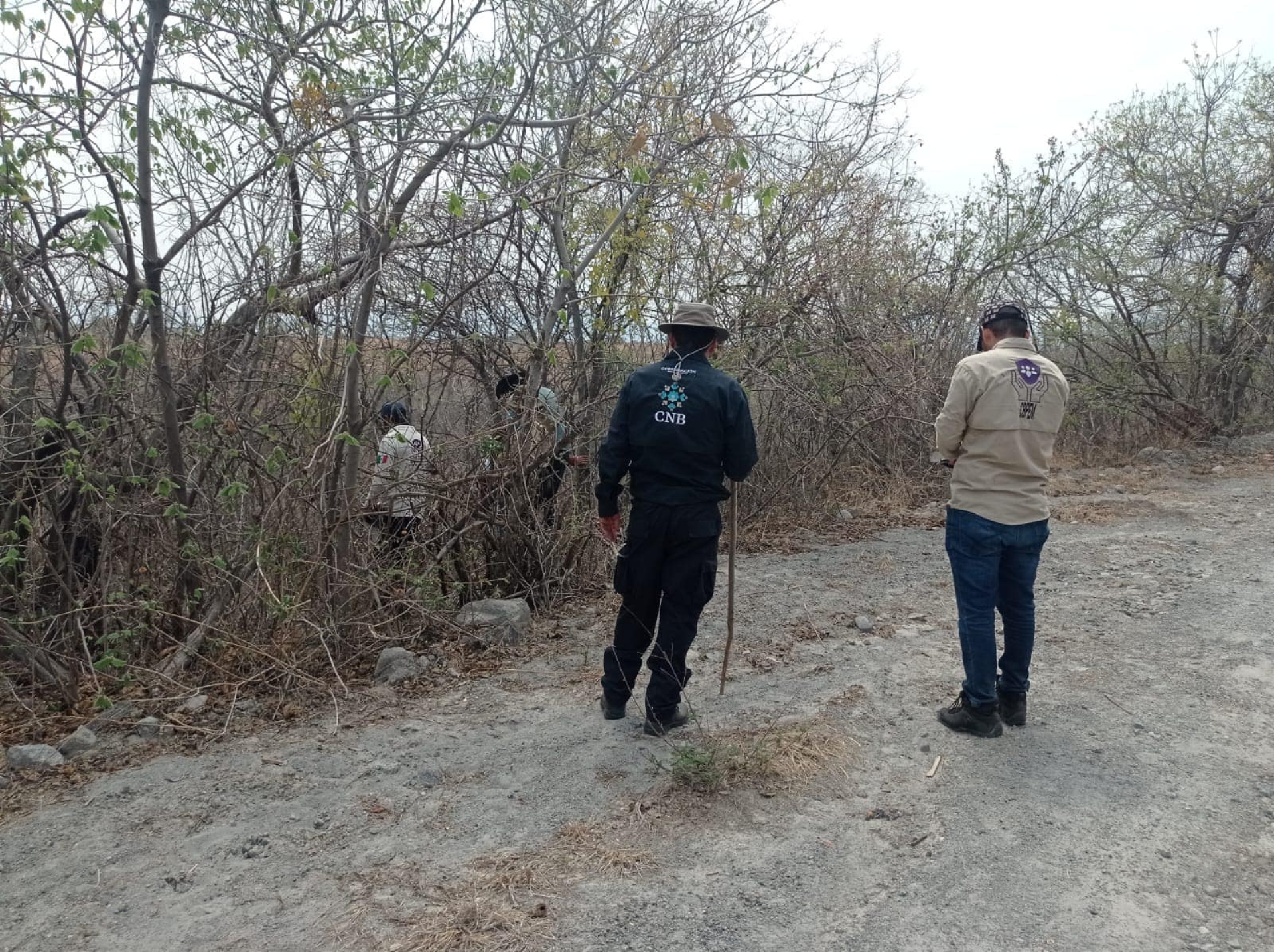 Localiza Comisión de Búsqueda de Personas restos óseos en Cuernavaca