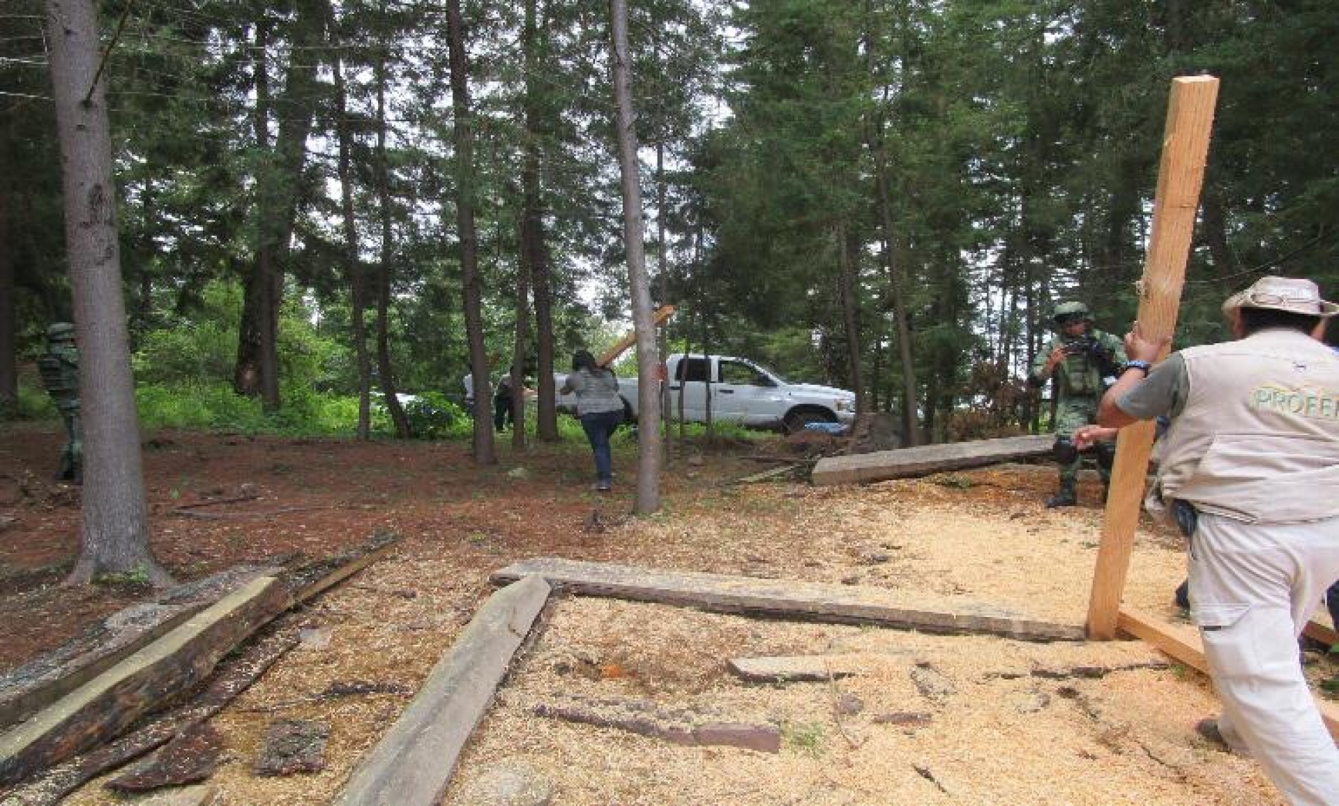 Asegura Profepa madera y herramientas en zonas críticas forestales de Morelos
