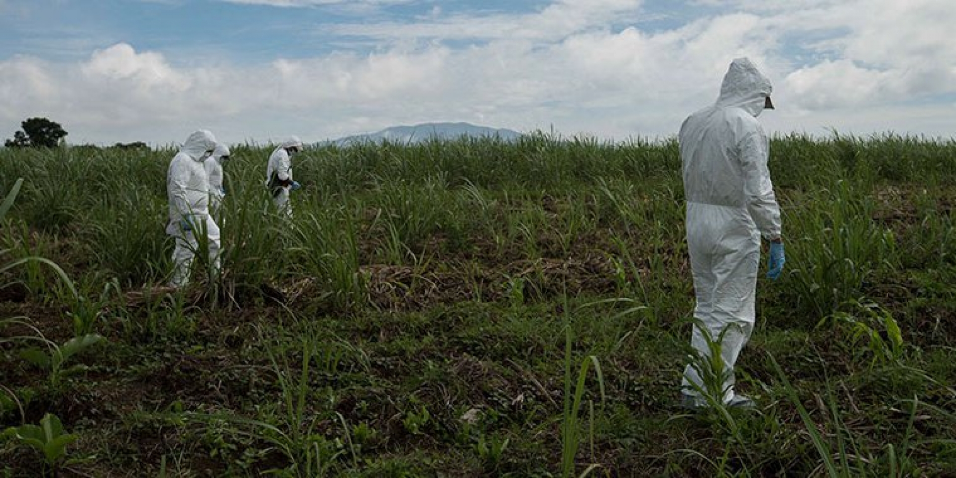 Segob: 2006 a 2019 registran 3,024 fosas clandestinas y 4,874 cuerpos