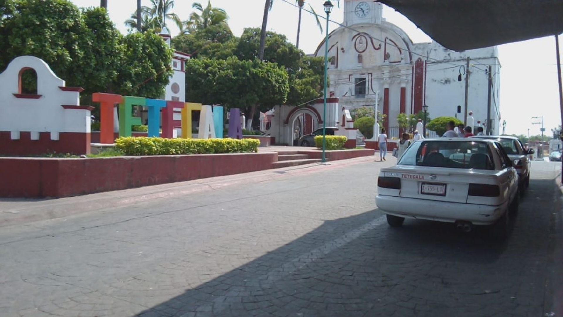 Detienen tala de árboles en Acapantzingo