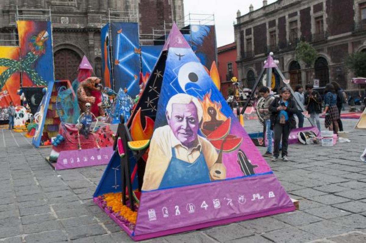 Las ofrendas de la UNAM llegan a la Plaza de Santo Domingo