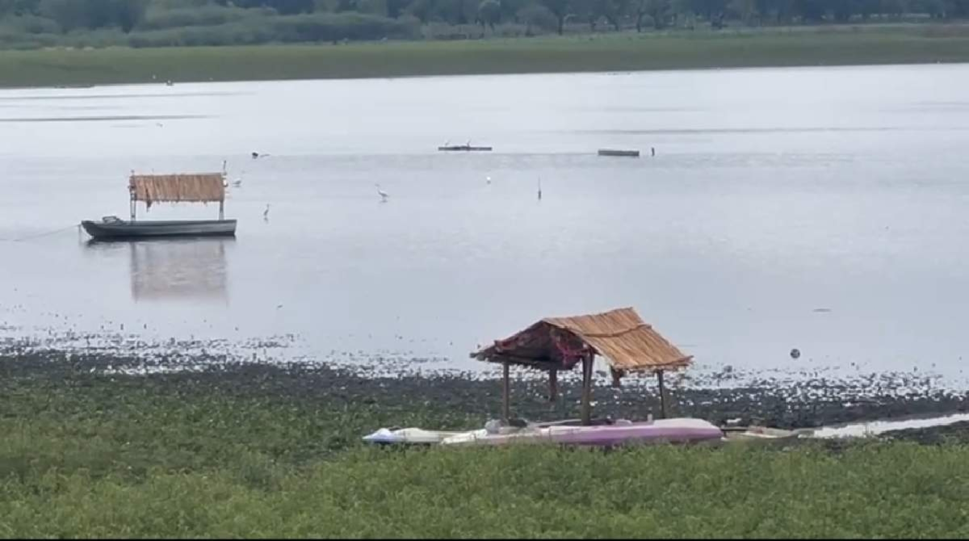 Recuperación de la laguna de Coatetelco favorece al turismo