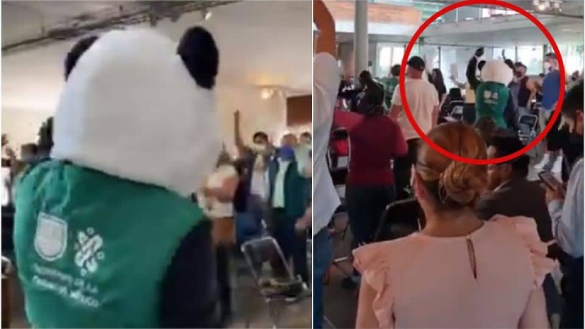 Pandas bailan al ritmo de Jeans y OV7 para amenizar vacunación en CDMX
