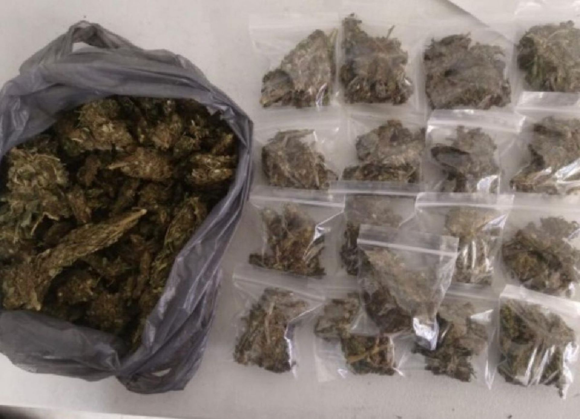 Allanaron una casa para llenar bolsas de marihuana