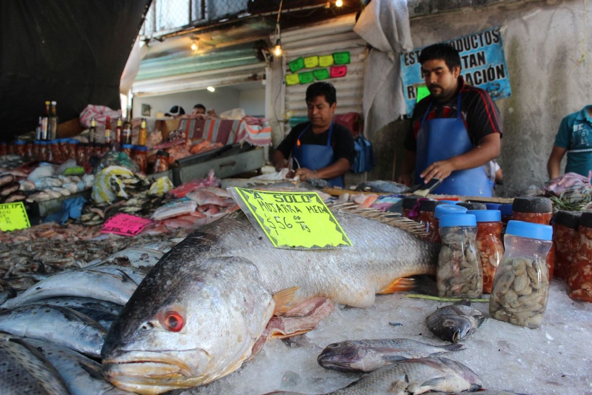 Alertan a consumidores contra el pescado congelado por meses