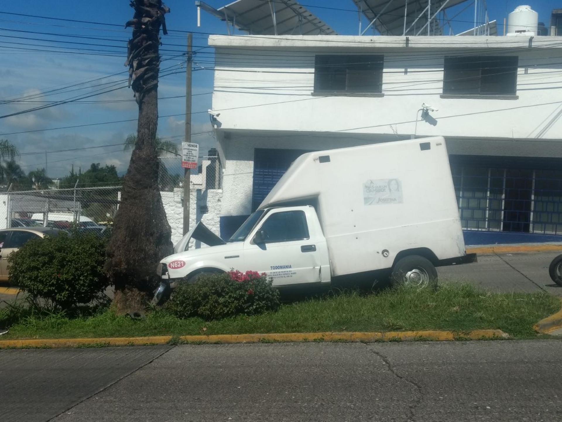 Chocó contra una palmera para no impactar un auto