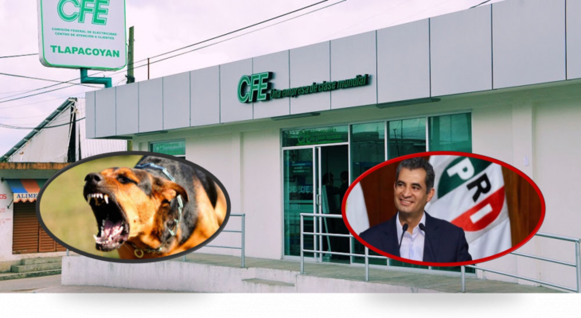CFE gastó casi 100 mil pesos, durante periodo de Enrique Ochoa, para proteger a empleados de ataques de perros