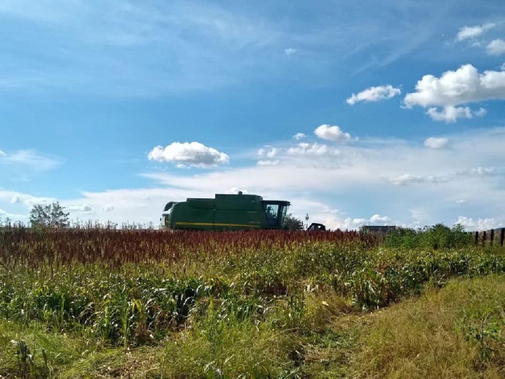 Confirman tendencia a la baja en presupuesto para el campo