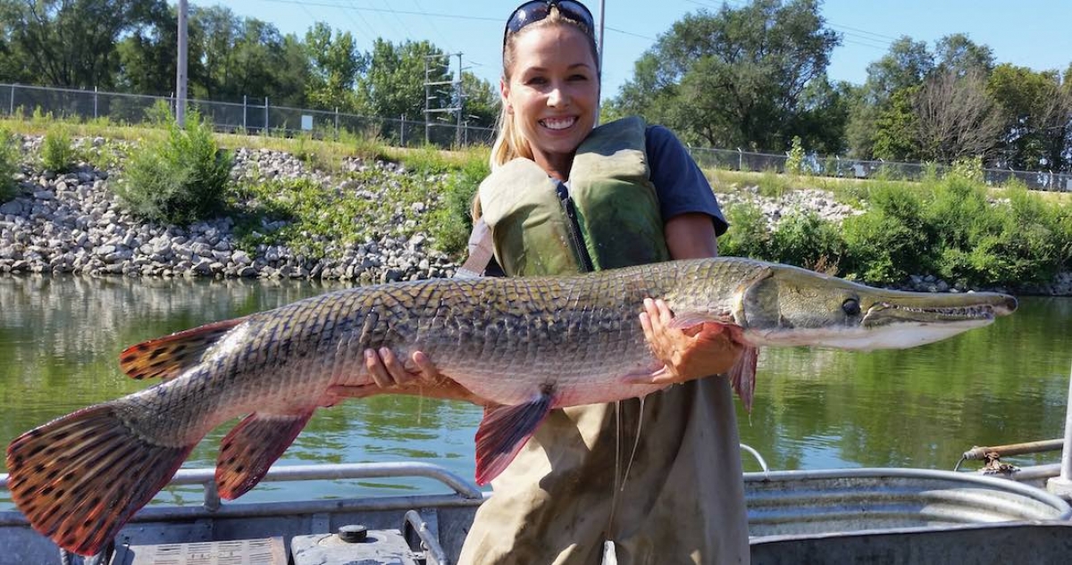 Pejelagarto, un gran sobreviviente, podría acabar con una “especie problemática”
