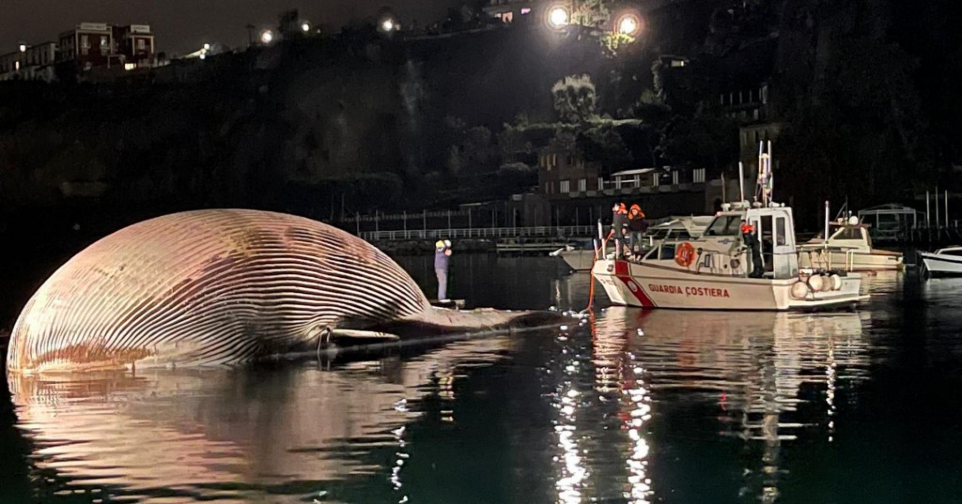 Una enorme ballena aparece muerta en las costas de Italia