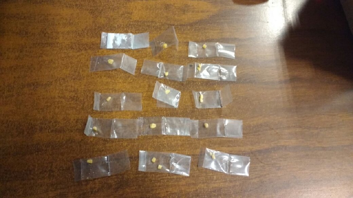 Atrapan a joven que presuntamente tenía cocaína
